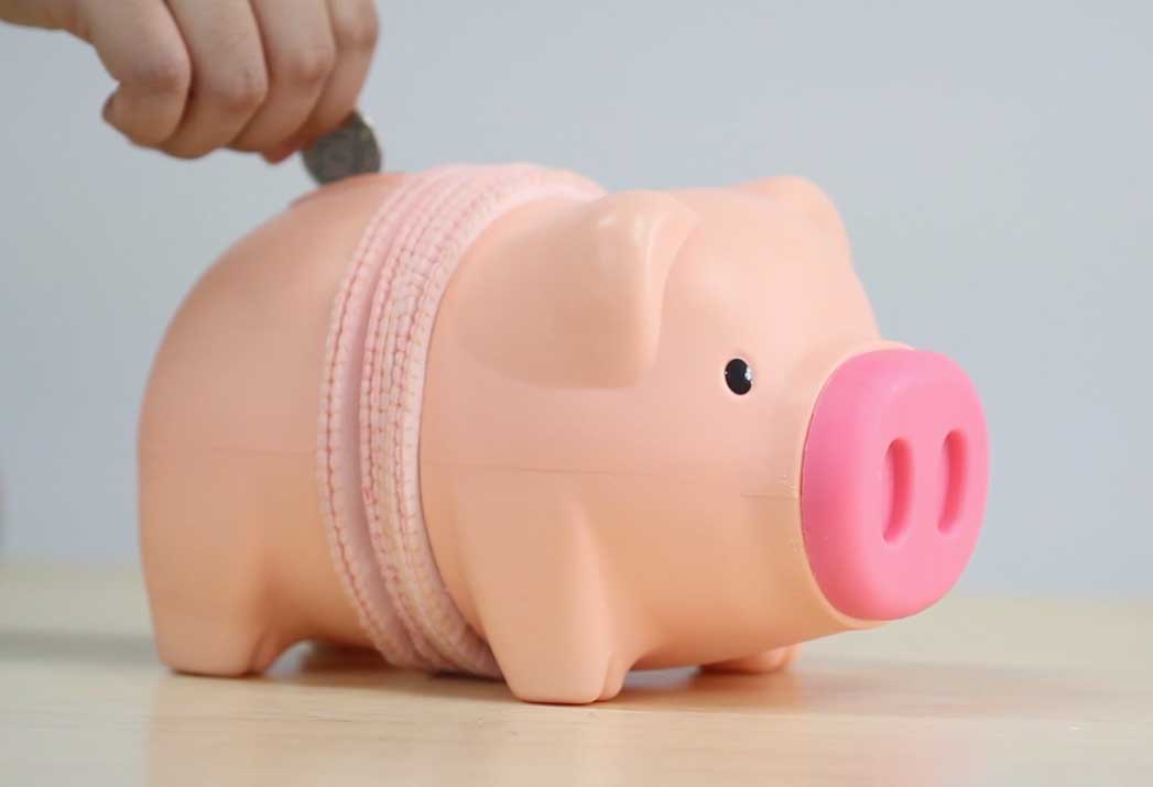 Thumbnail image of Chubby Pig